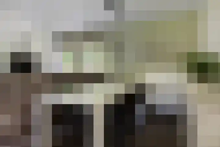 Molenbosch 22 Oldeberkoop thumbnail 12