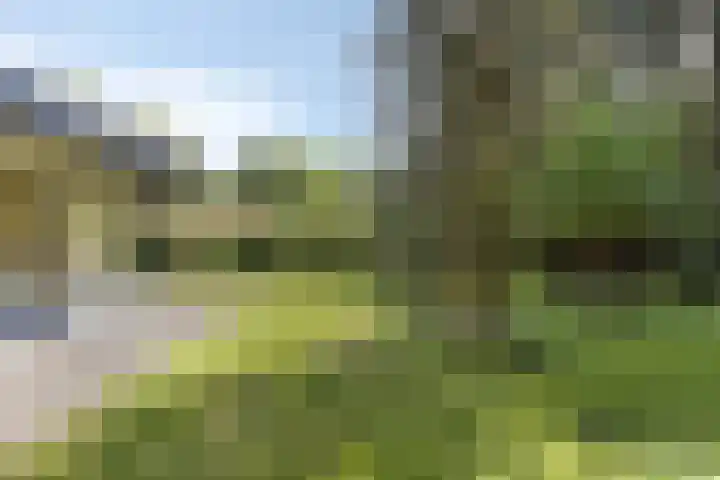 Molenbosch 22 Oldeberkoop thumbnail 21