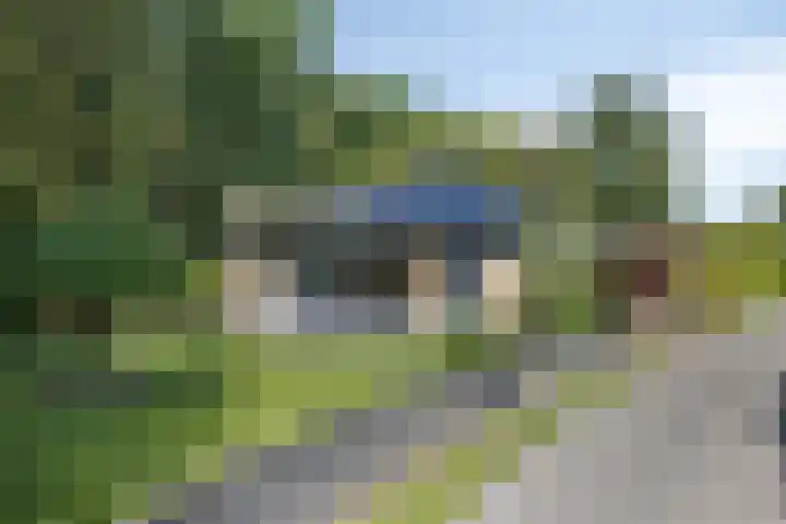 Molenbosch 22 Oldeberkoop thumbnail 27