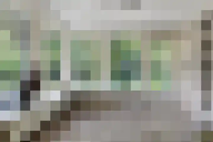 Molenbosch 22 Oldeberkoop thumbnail 6