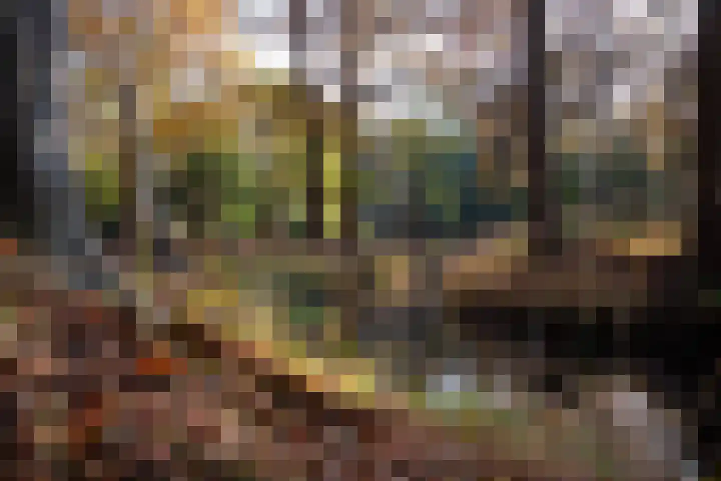 Molenbosch 67 Oldeberkoop thumbnail 28