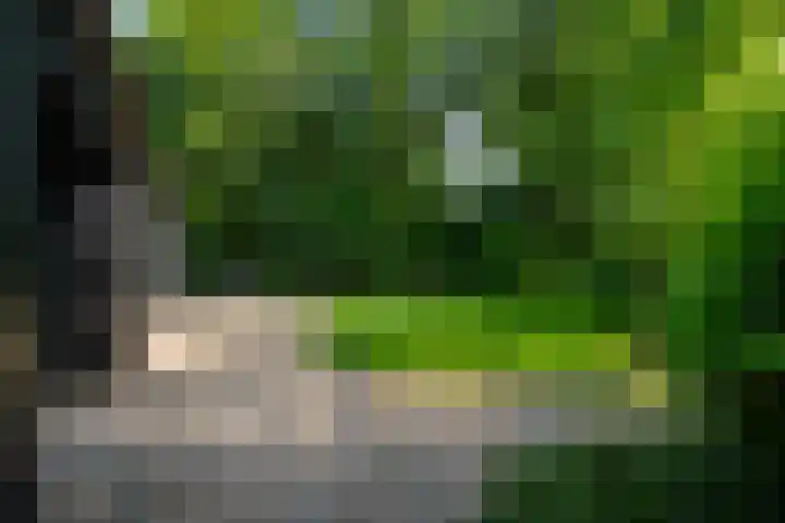 Molenbosch 68 Oldeberkoop thumbnail 10