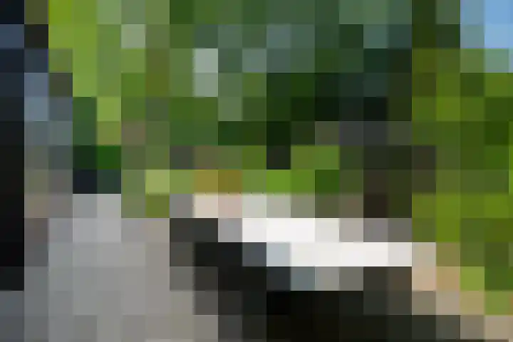 Molenbosch 68 Oldeberkoop thumbnail 13