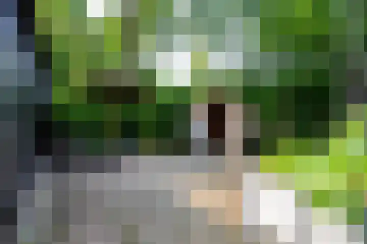 Molenbosch 68 Oldeberkoop thumbnail 14