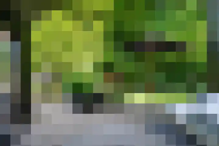 Molenbosch 68 Oldeberkoop thumbnail 17