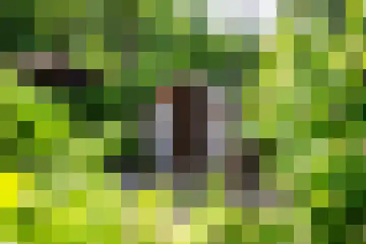 Molenbosch 68 Oldeberkoop thumbnail 22