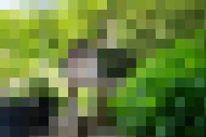 Molenbosch 68 Oldeberkoop thumbnail 23