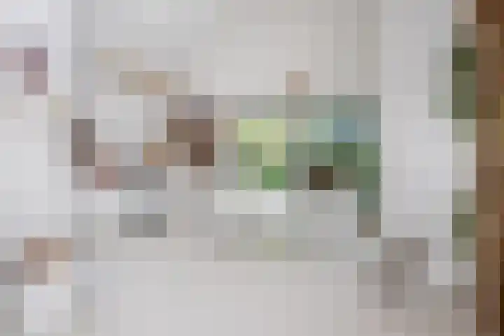 Molenbosch 68 Oldeberkoop thumbnail 28