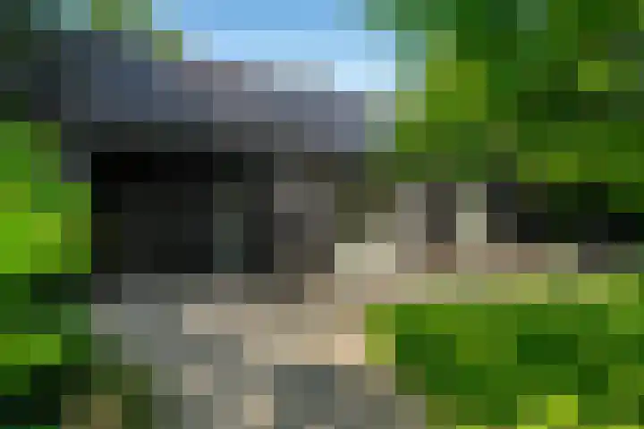Molenbosch 68 Oldeberkoop thumbnail 4