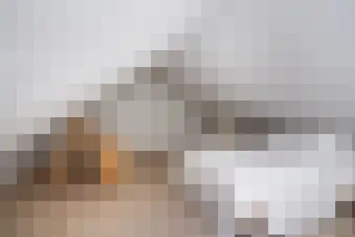 Molenbosch 68 Oldeberkoop thumbnail 47