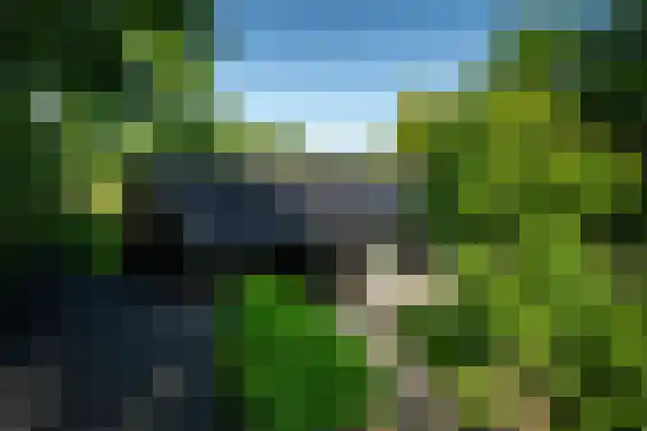 Molenbosch 68 Oldeberkoop thumbnail 5
