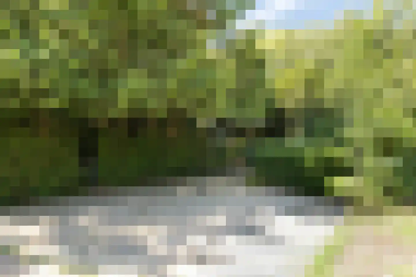Molenbosch 79 Oldeberkoop thumbnail 24