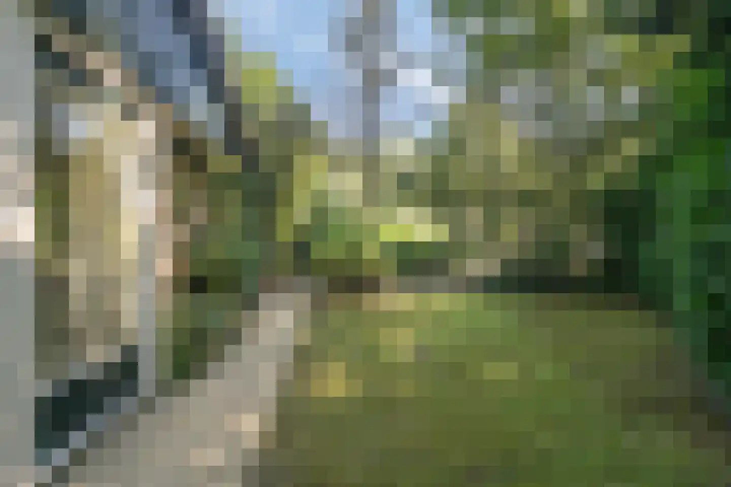 Molenbosch 79 Oldeberkoop thumbnail 27