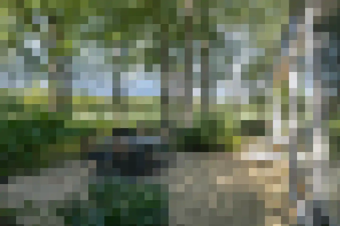 Molenbosch 79 Oldeberkoop thumbnail 29
