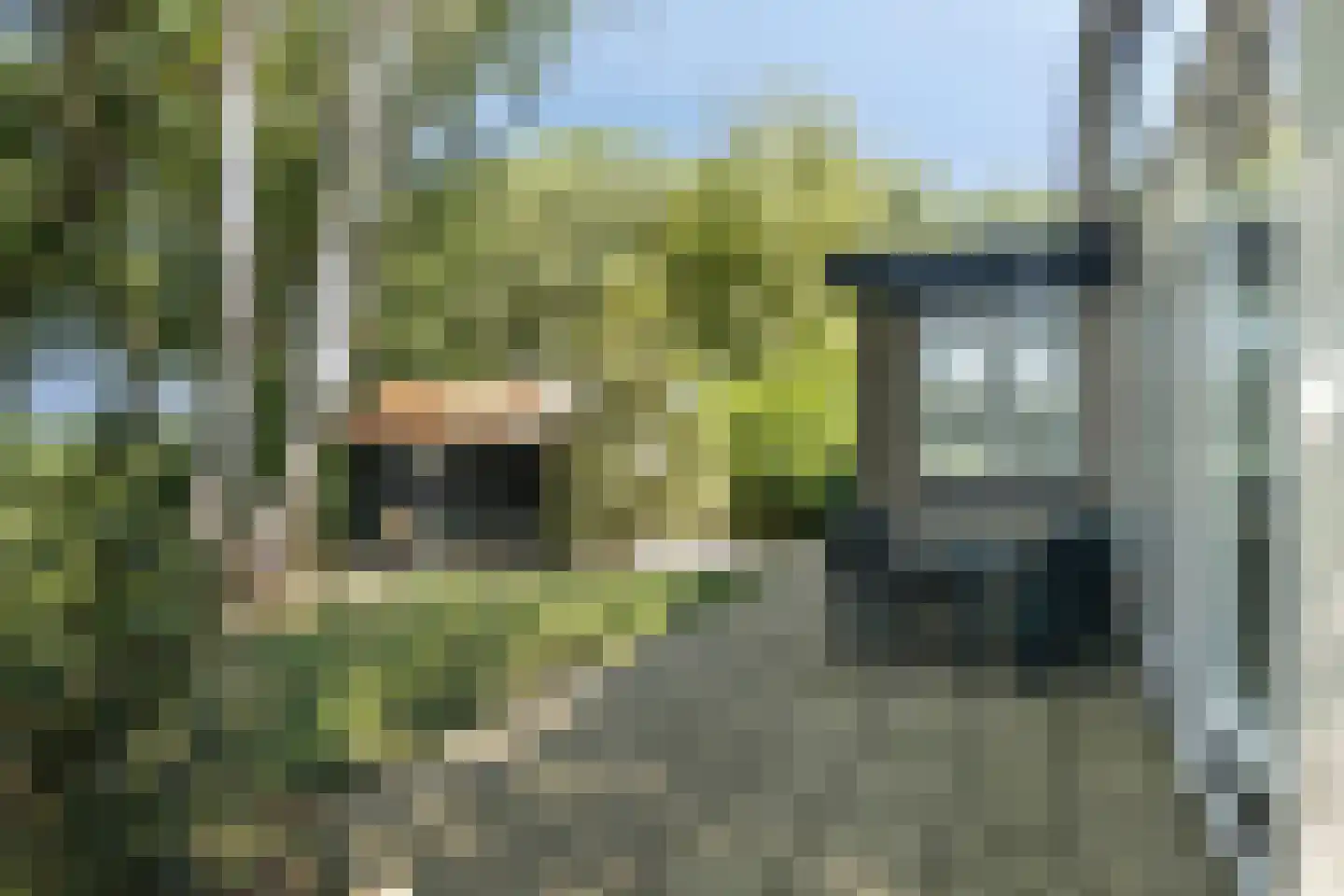 Molenbosch 79 Oldeberkoop thumbnail 31