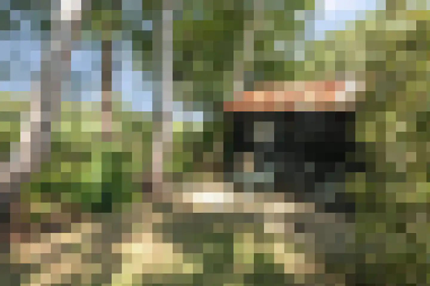 Molenbosch 79 Oldeberkoop thumbnail 32