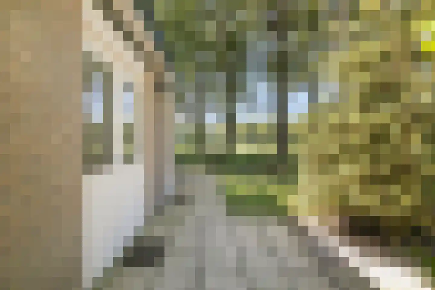 Molenbosch 79 Oldeberkoop thumbnail 33