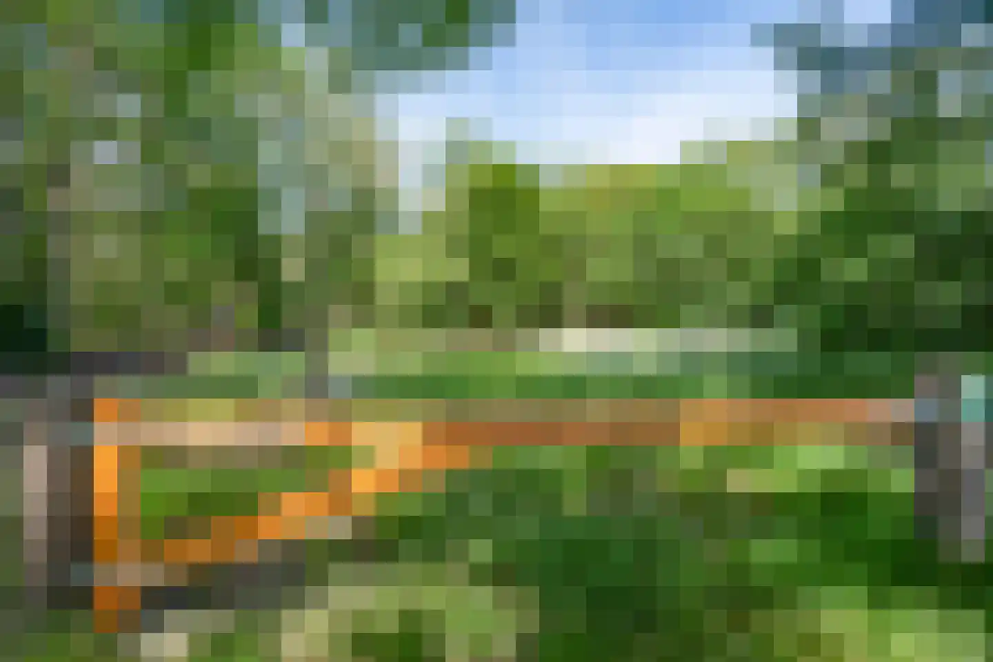 Molenbosch 79 Oldeberkoop thumbnail 36