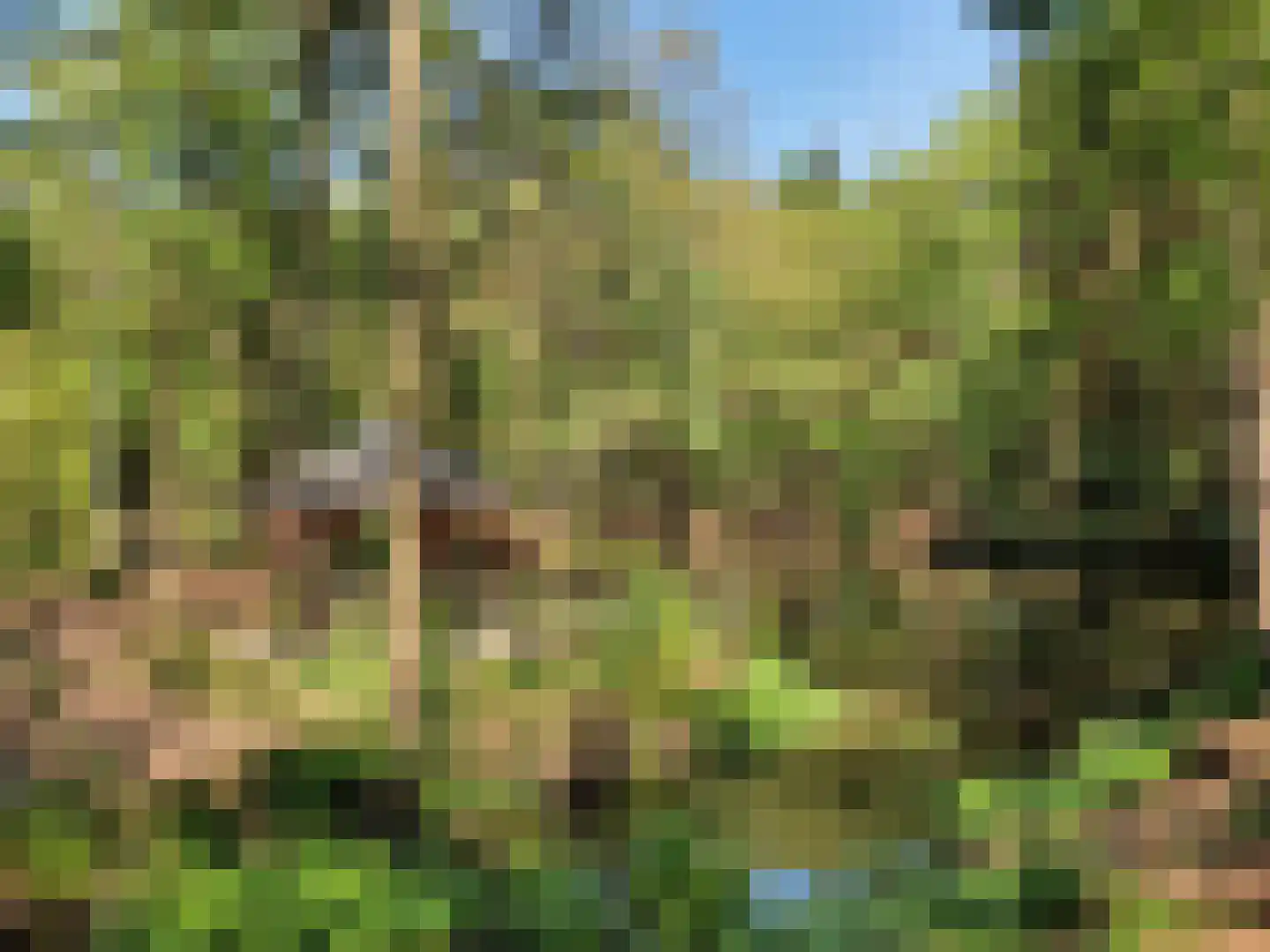 Molenbosch 79 Oldeberkoop thumbnail 38