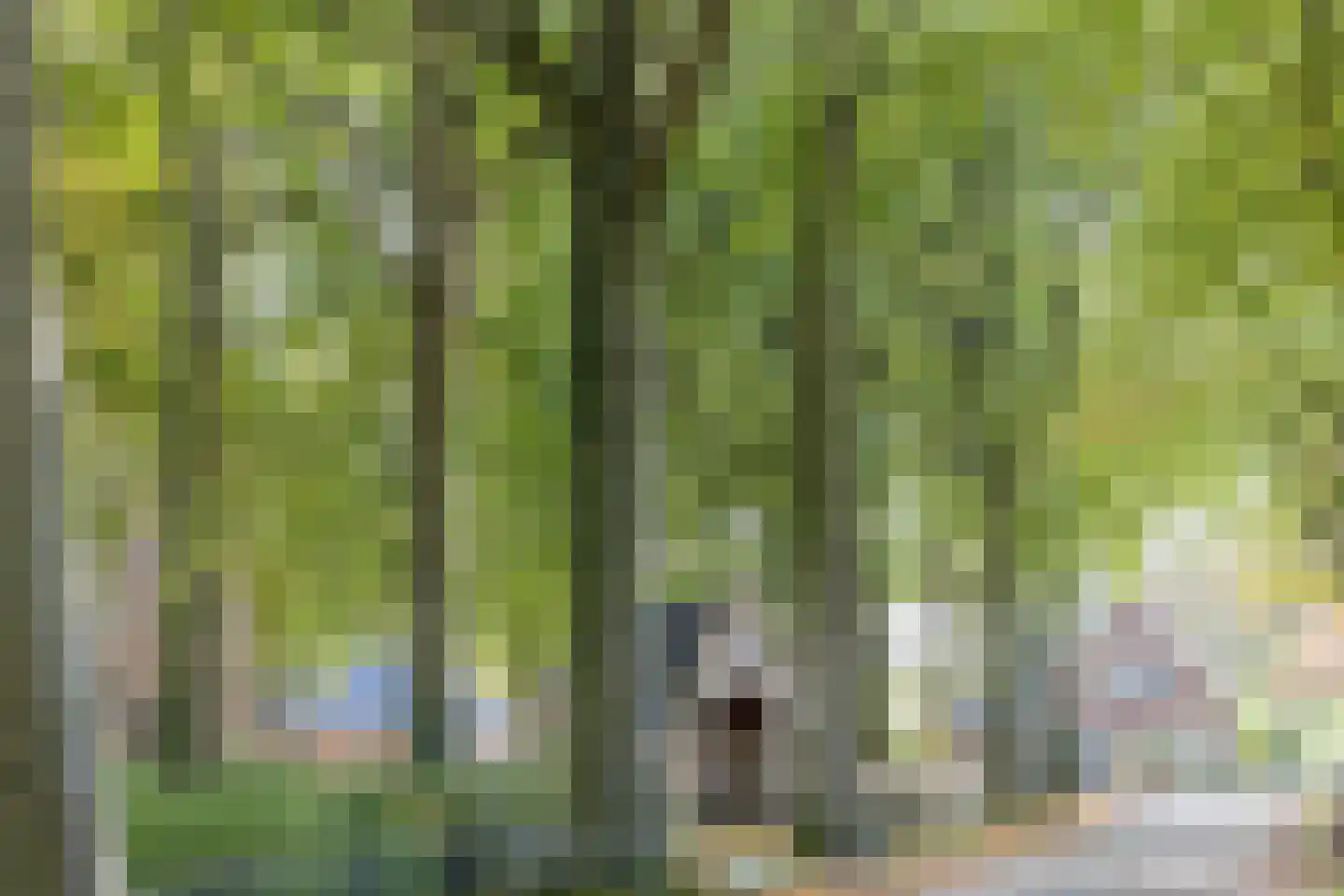 Molenbosch 79 Oldeberkoop thumbnail 39
