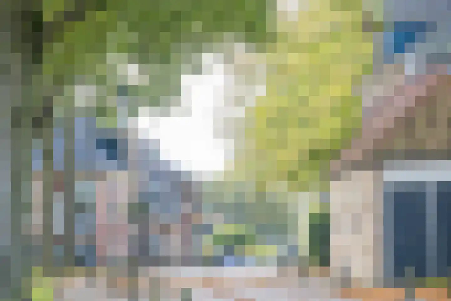 Molenbosch 79 Oldeberkoop thumbnail 41