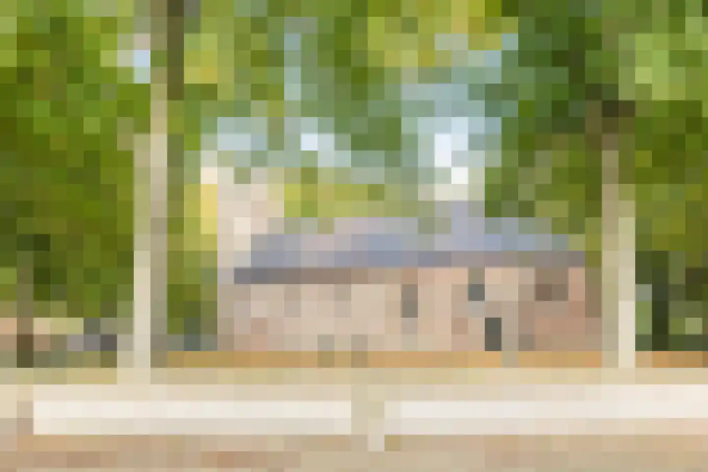 Molenbosch 79 Oldeberkoop thumbnail 42