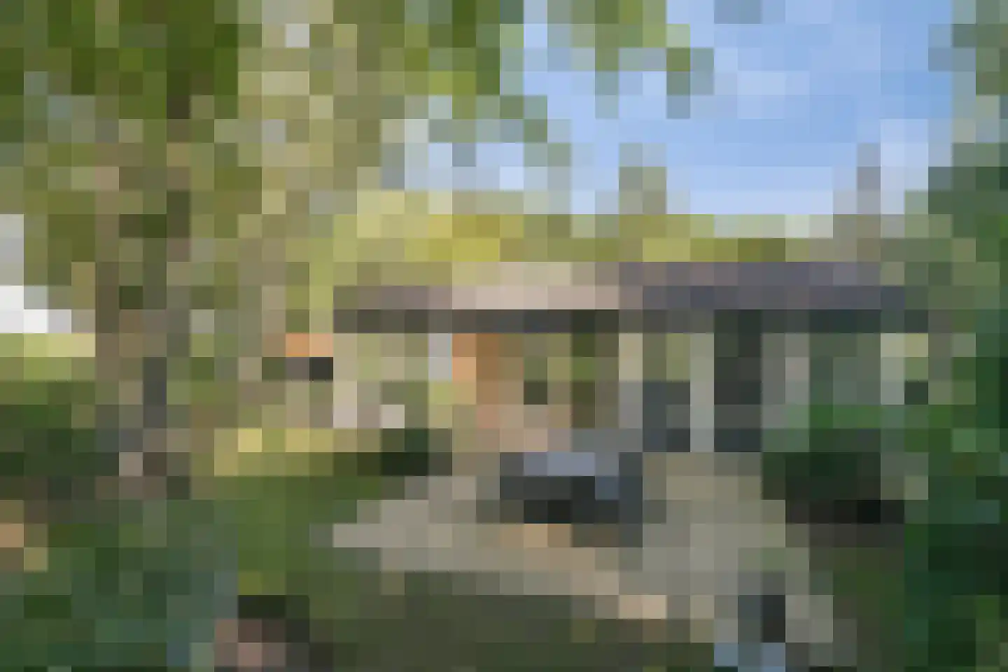 Molenbosch 79 Oldeberkoop thumbnail 5