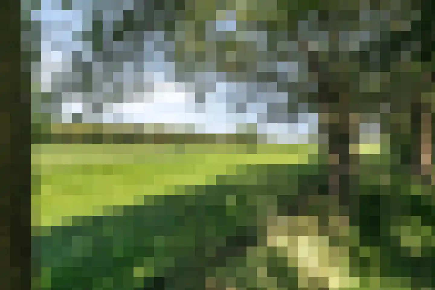 Molenbosch 79 Oldeberkoop thumbnail 7