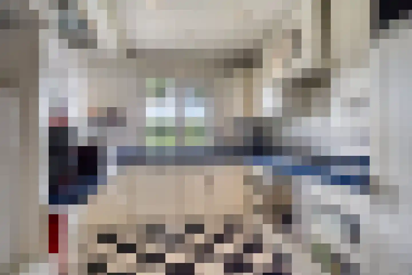 Molenbosch 80 Oldeberkoop thumbnail 12
