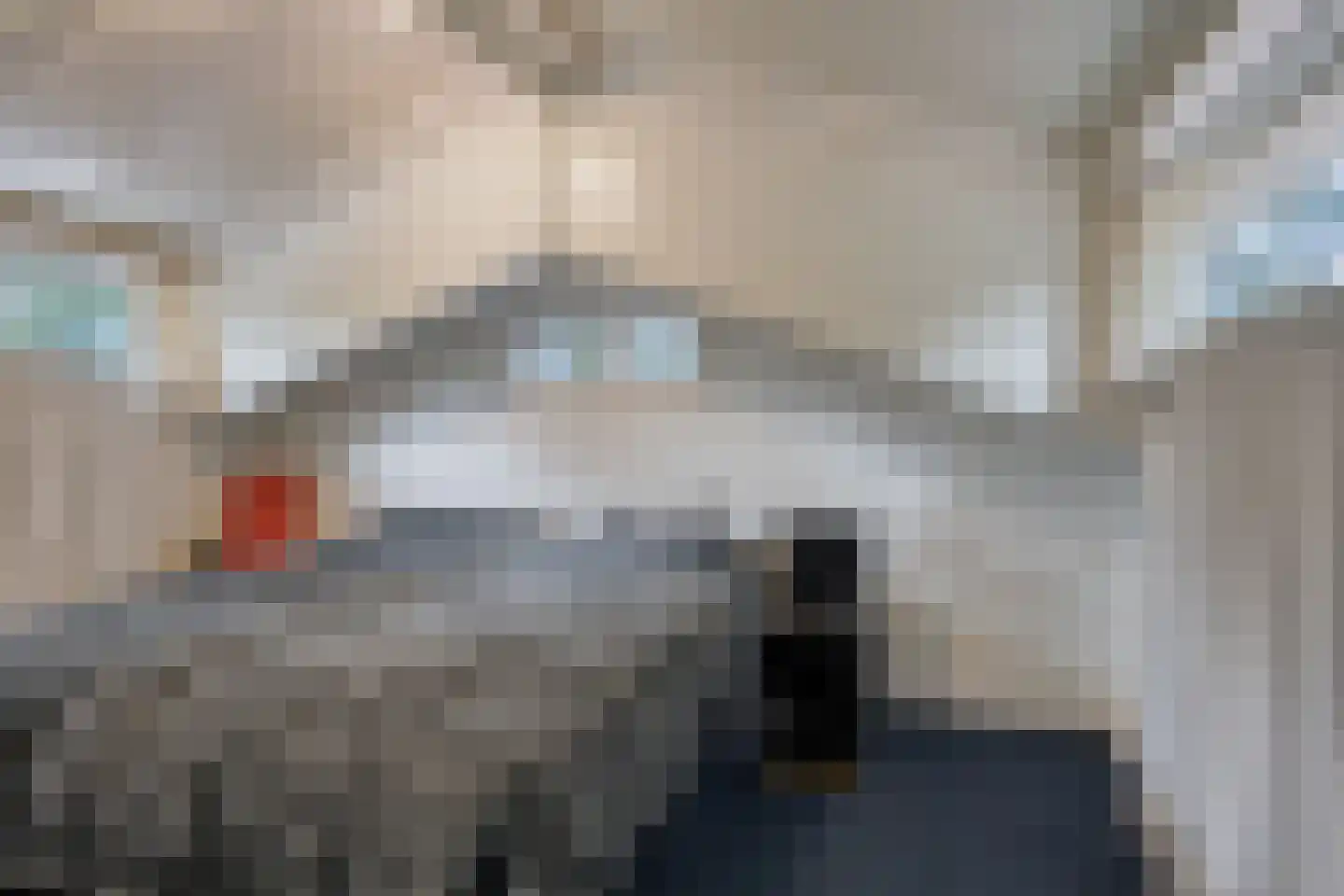 Molenbosch 80 Oldeberkoop thumbnail 19