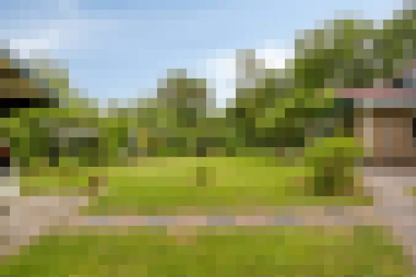 Molenbosch 80 Oldeberkoop thumbnail 21