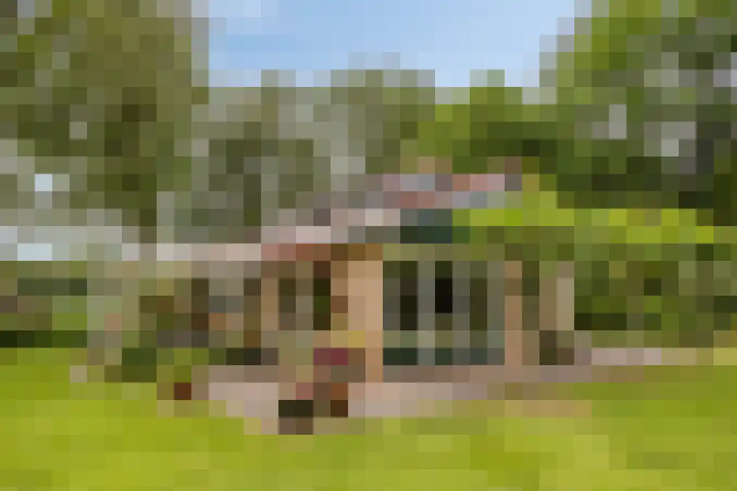 Molenbosch 80 Oldeberkoop thumbnail 22