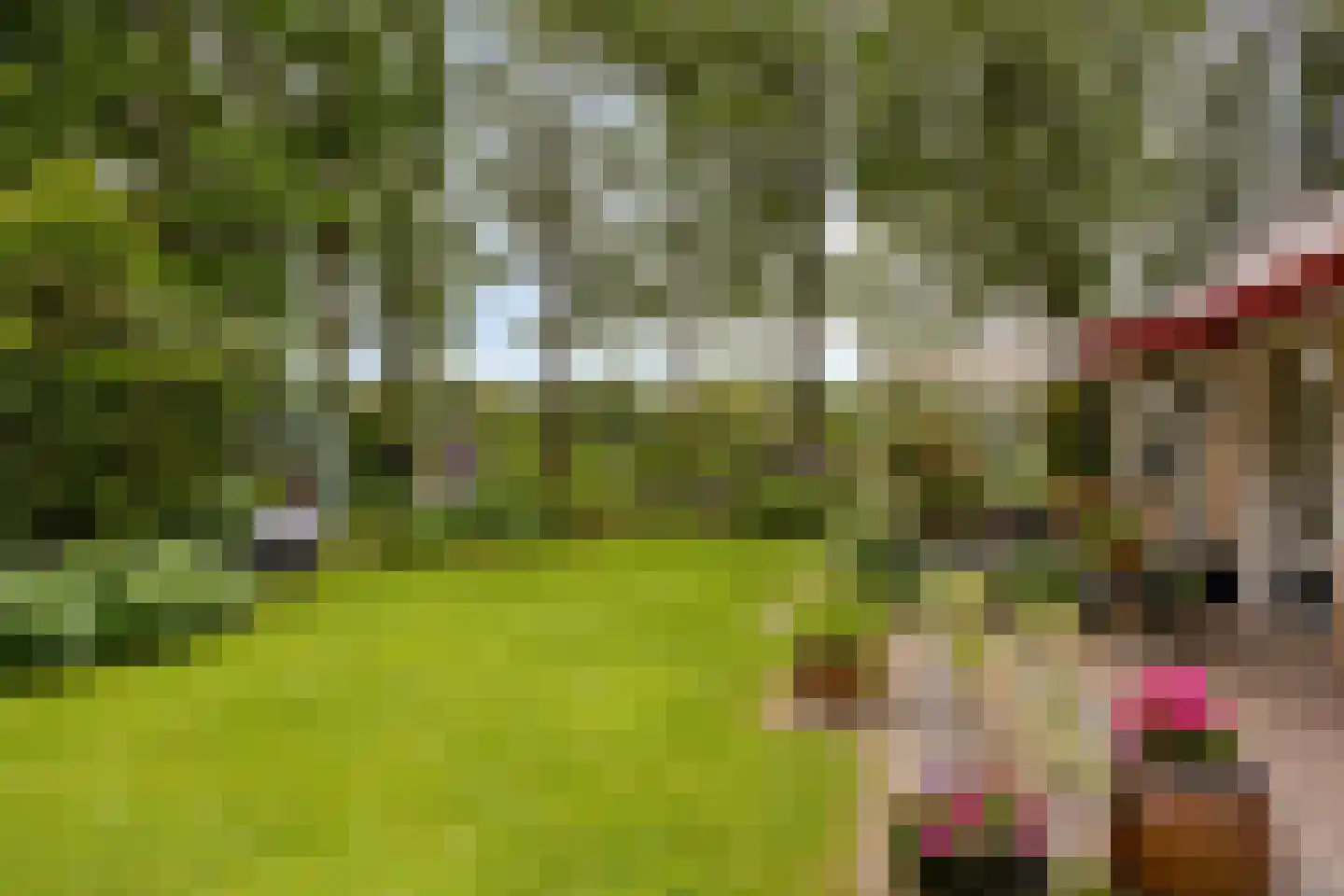 Molenbosch 80 Oldeberkoop thumbnail 23