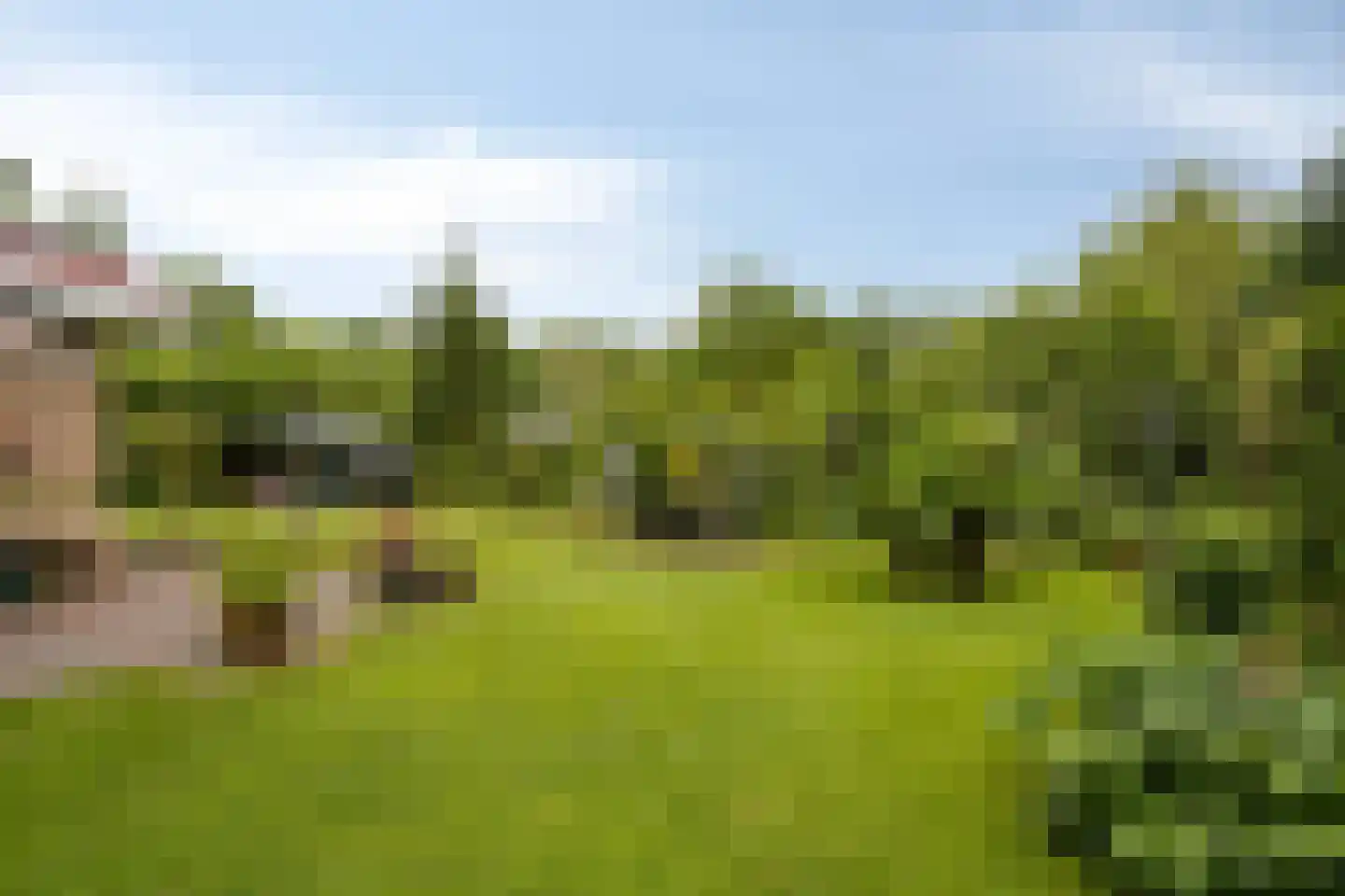 Molenbosch 80 Oldeberkoop thumbnail 24