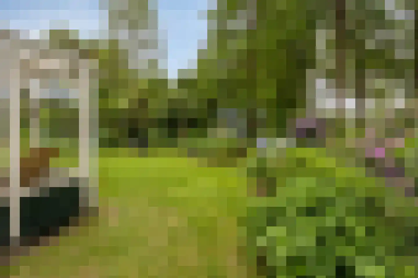 Molenbosch 80 Oldeberkoop thumbnail 27