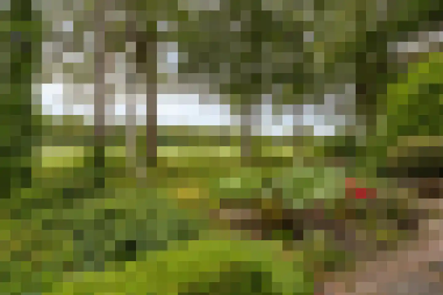 Molenbosch 80 Oldeberkoop thumbnail 28