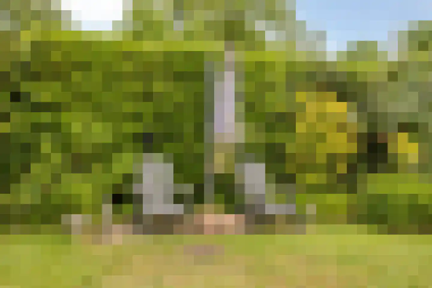Molenbosch 80 Oldeberkoop thumbnail 30