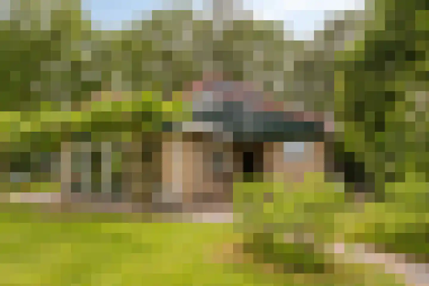 Molenbosch 80 Oldeberkoop thumbnail 31