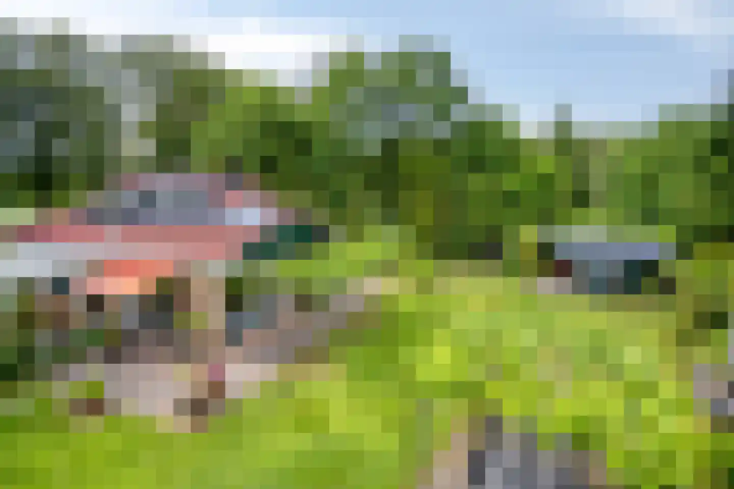 Molenbosch 80 Oldeberkoop thumbnail 32