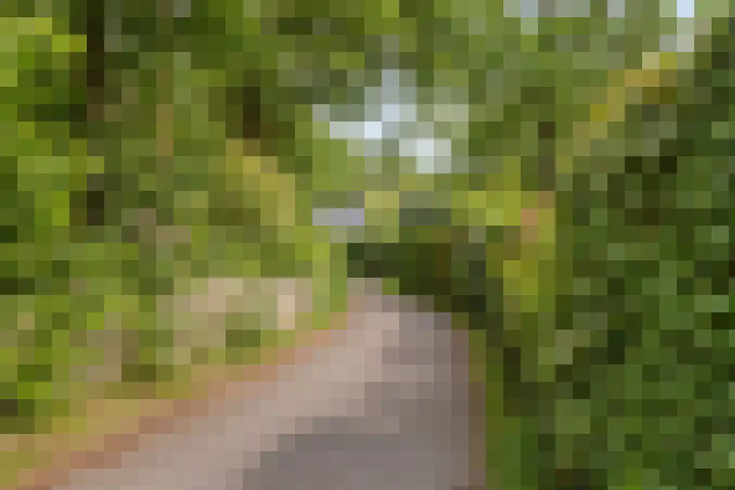Molenbosch 80 Oldeberkoop thumbnail 35