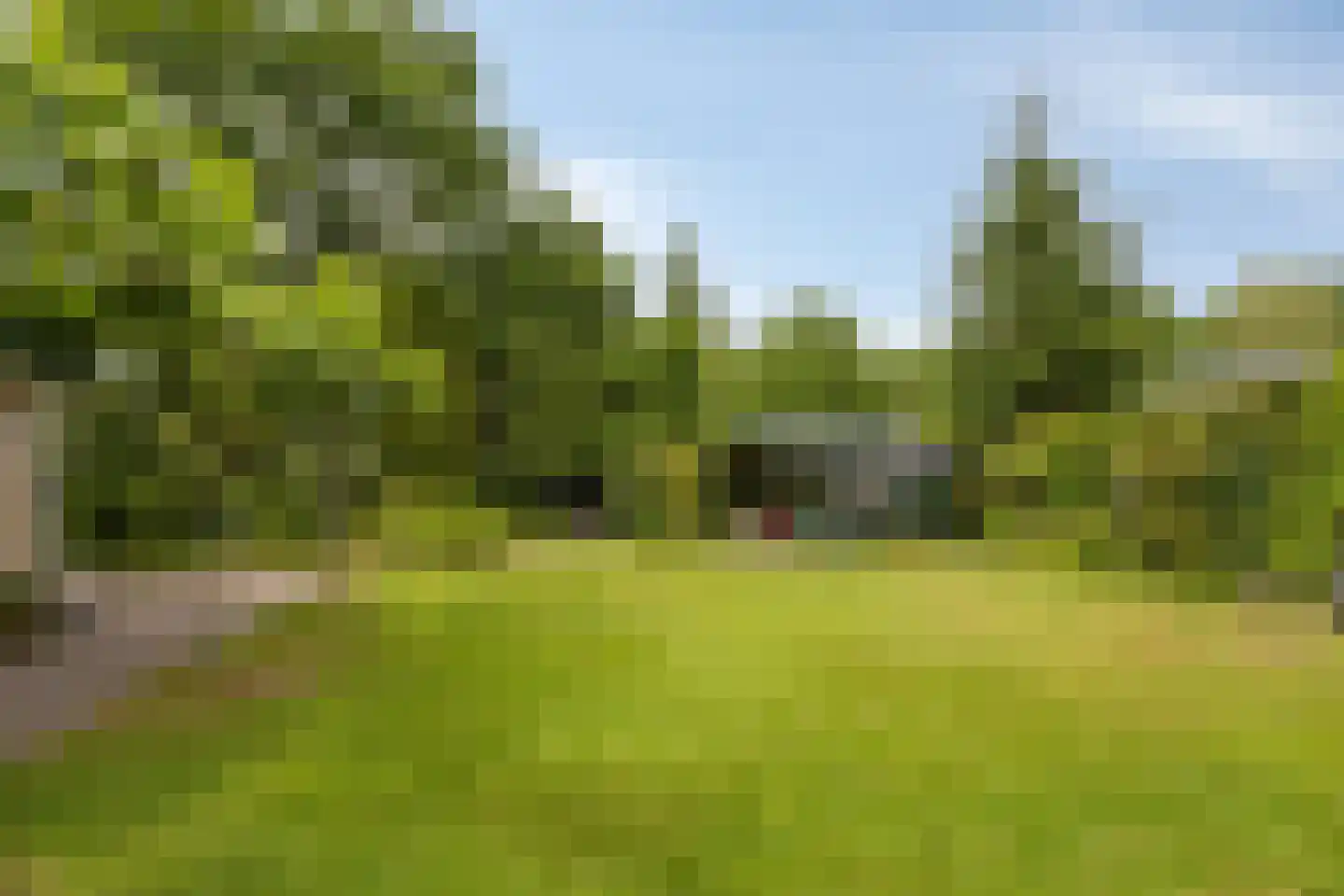 Molenbosch 80 Oldeberkoop thumbnail 4