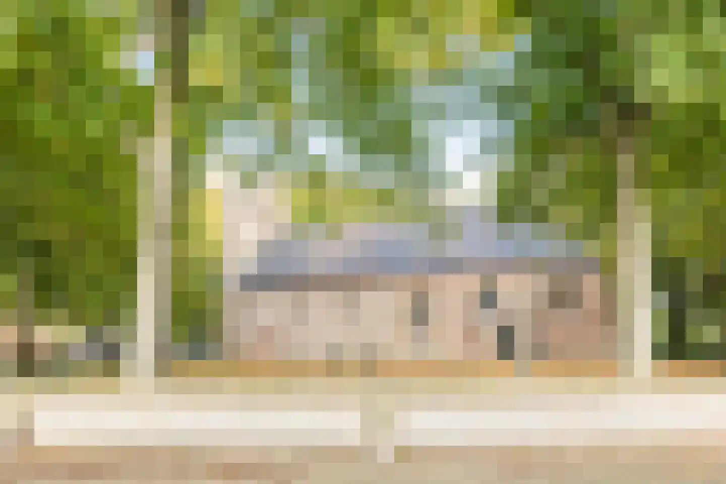 Molenbosch 80 Oldeberkoop thumbnail 41