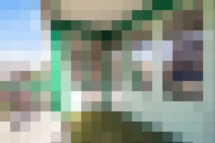 Molenbrink 24 Monster thumbnail 25