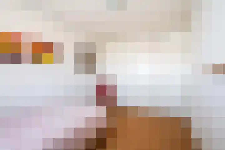 Molenbrink 24 Monster thumbnail 33