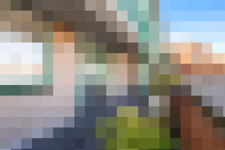 Molenbrink 24 Monster thumbnail 7