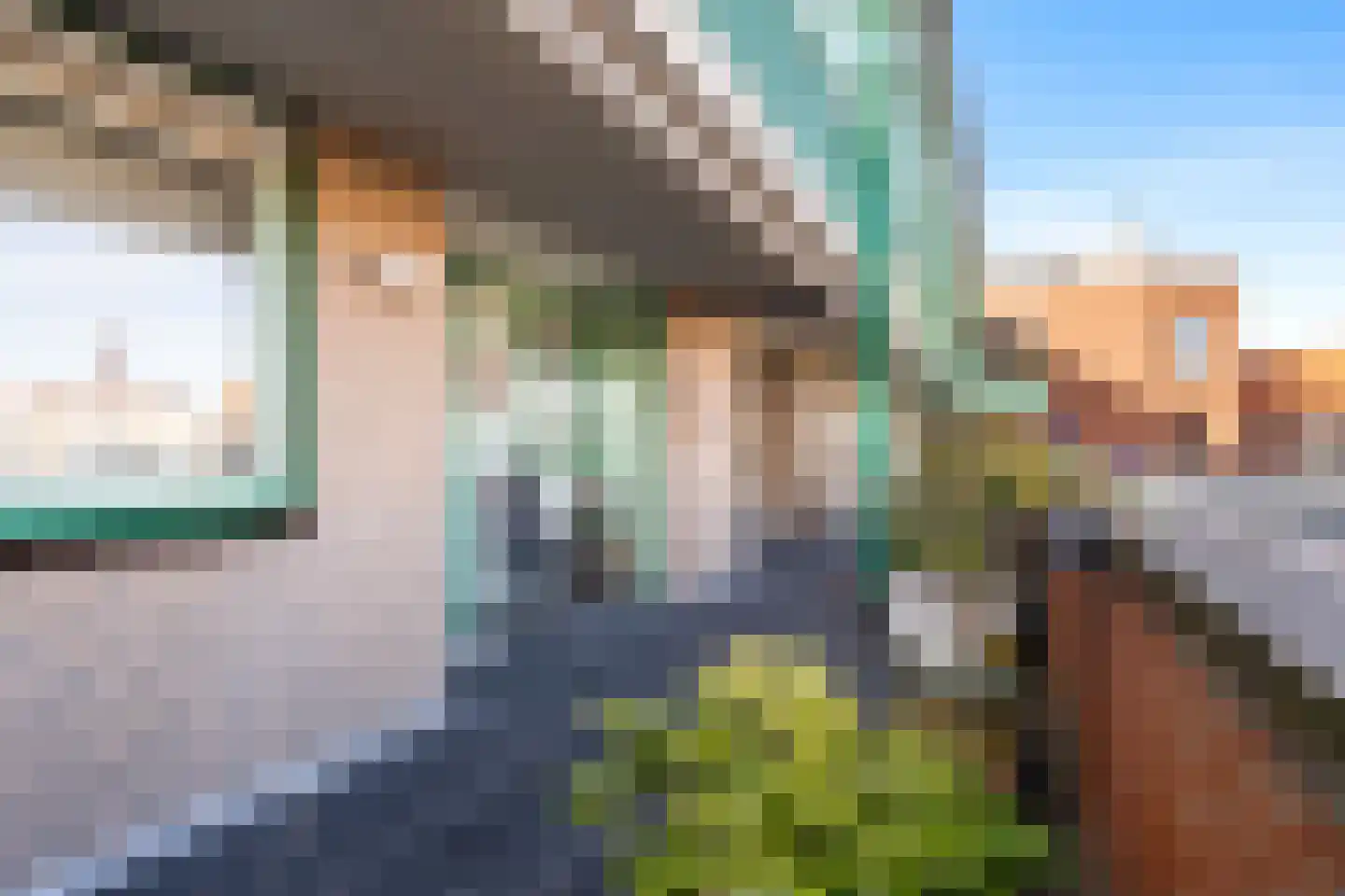 Molenbrink 24 Monster thumbnail 7