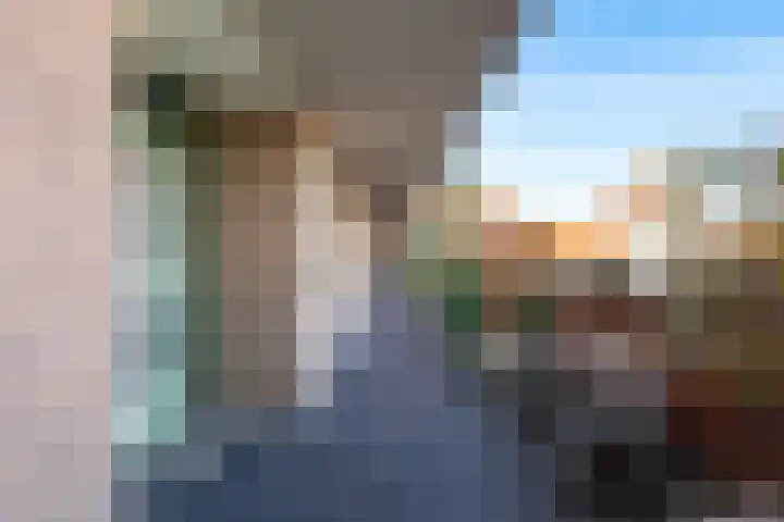 Molenbrink 24 Monster thumbnail 8