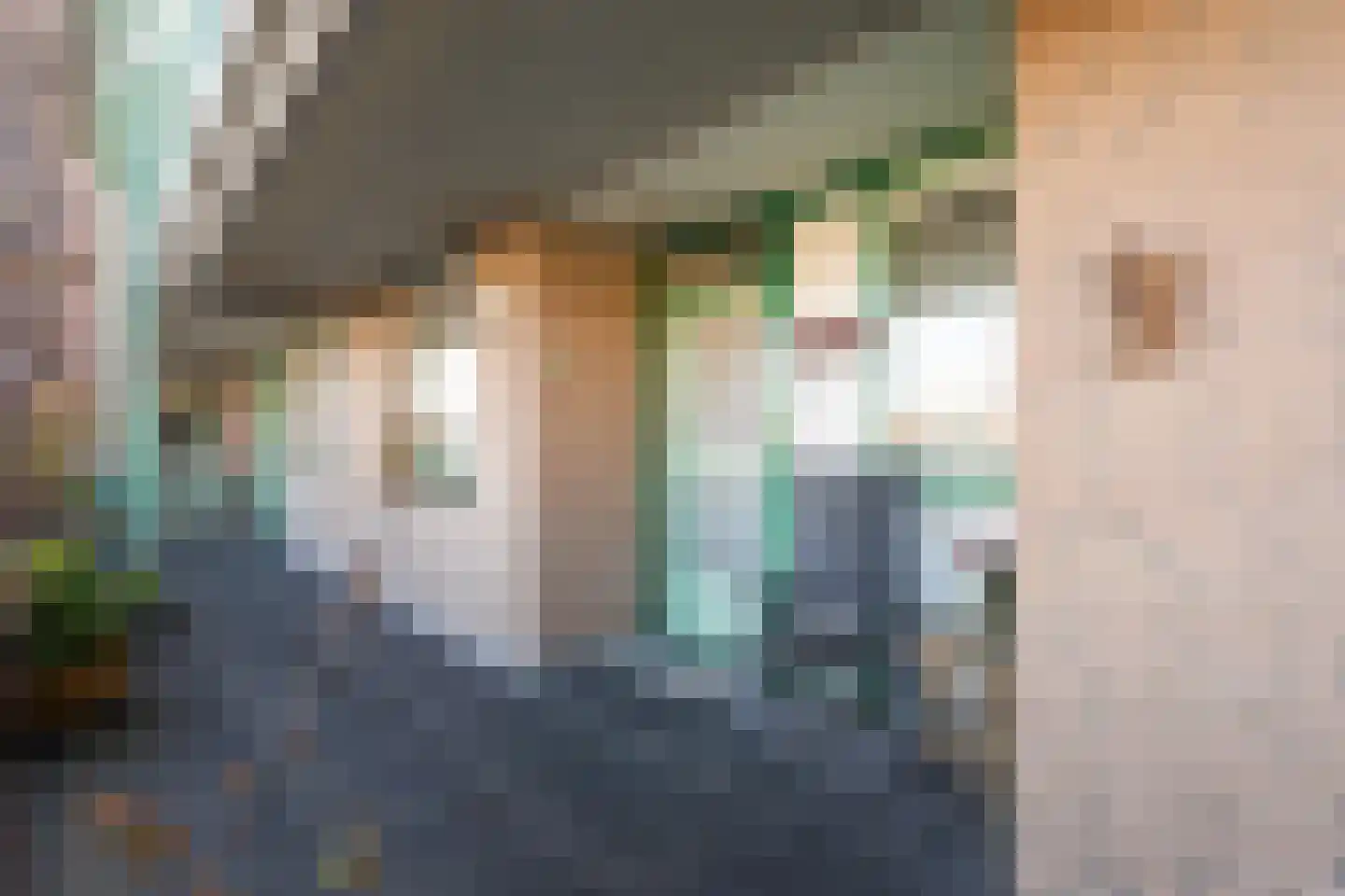 Molenbrink 24 Monster thumbnail 9