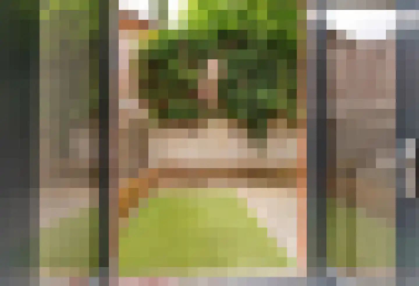 Molenbrink 25 Amerongen thumbnail 13