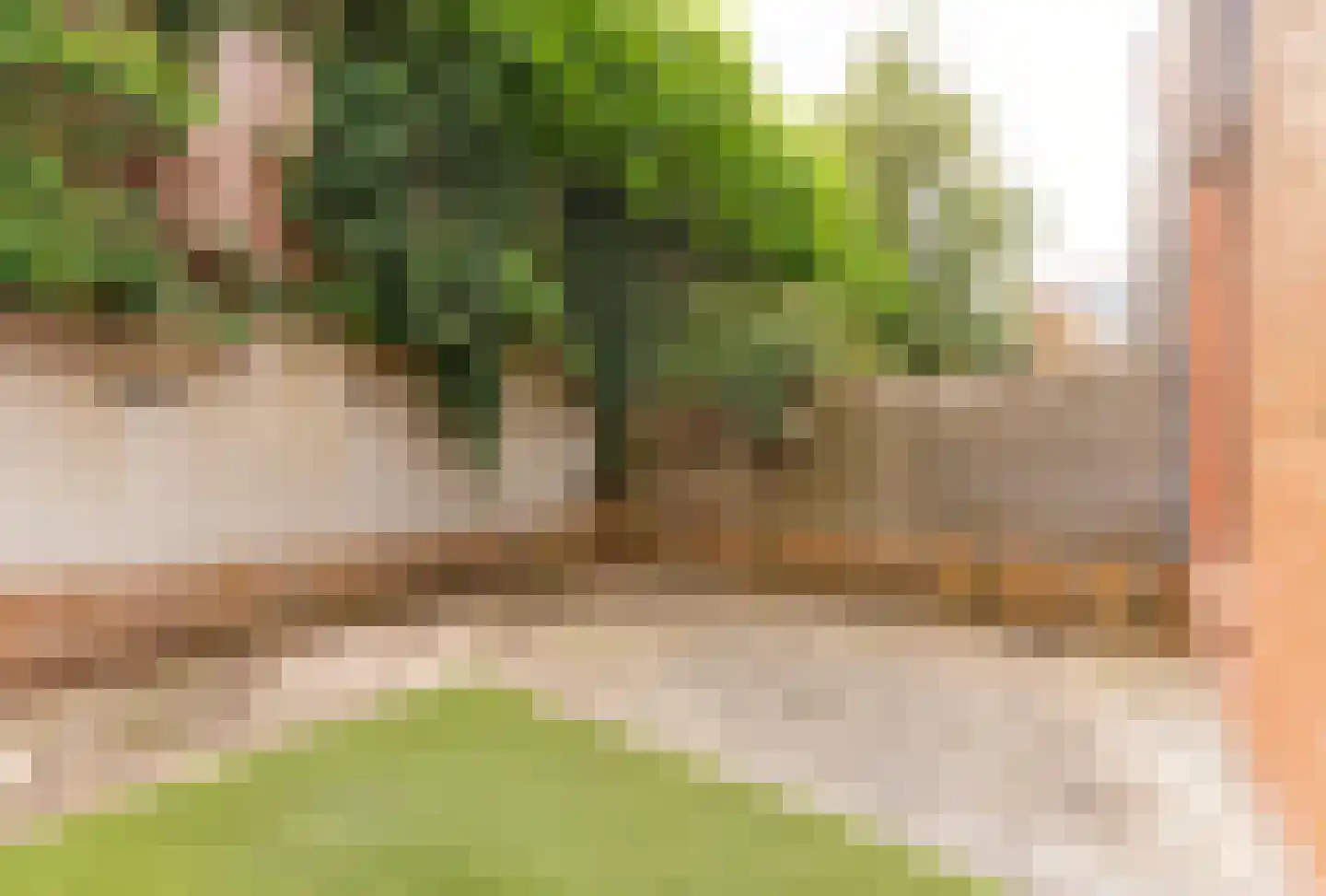 Molenbrink 25 Amerongen thumbnail 22